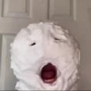 SquisheyTheRoach Discord Server Icon