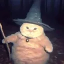 🎃The Spooky Gang🎃