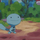 Wooper Academy