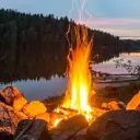 The Arsonists