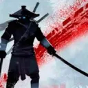 Ninja Arashi Speedrunning