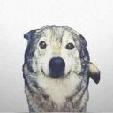 Server Icon