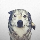 Flufftonomy Research Center Discord server icon