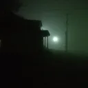 Frenzied Fear