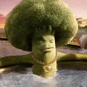 Brocolli Land🧐