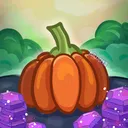Pumpkin Patch