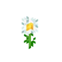 PON