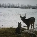 starr  Discord Server Icon