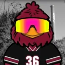 South Carolina Gamecocks