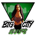 BigCityLife