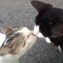 SPECIAL PEOPLE😋😋's icon