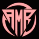 AMR TEAM