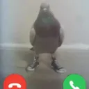 Framework Discord Server Icon