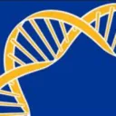 Pitt Bioengineers United