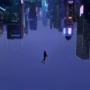 The Donger Haven