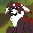The wolf wonders | TWW