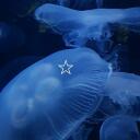 Jellyfish Gardens Discord Server Icon