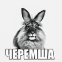 Дом Borutika