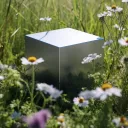 Meadow