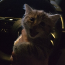 The War Room Discord server icon