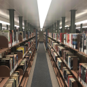 The Library. Server Icon