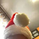 CARDSHIMO