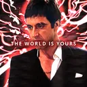 The World Is Yours