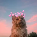 Pet~Cafe | Social ▢ Chill ▢ Fun's icon