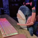 ❥ʝαყ’ʂ ρʅαƈҽ ᰔᩚ