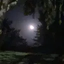 The Village Discord server icon