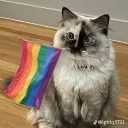 the kitty friends Discord Server Icon