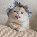 Working Cat Parents Discord Server Icon