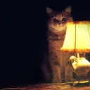 Сервер SMILER Discord server icon