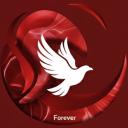 Forever avatar