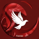 Discovery icon for Forever Discord server