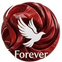 Forever icon