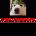 ՏIᒪᐯᗴᖇ ᑕOᗰᗰᑌᑎITY