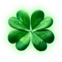 CLOVER NETWORK