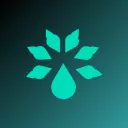 ParadiseNode.com