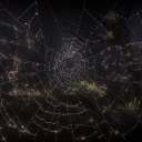 𝐏𝐨𝐰𝐝𝐞𝐫 : 𝐌𝐮𝐥𝐭𝐢𝐟𝐚𝐧𝐝𝐨𝐦 𝐒𝐞𝐫𝐯𝐞𝐫
