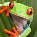 Sunny’s streams!'s icon