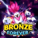 Pokémon: Bronze Forever Colosseum
