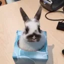 The worst server™ Discord Server Icon