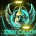 𝓒𝓪𝓵𝓸𝓹'𝓼 𝓒𝓸𝓶𝓶𝓾𝓷𝓲𝓽𝔂 𝓢𝓮𝓻𝓿𝓮𝓻 Discord server icon