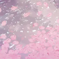 ❛𝕤𝕙𝕚𝕞𝕞𝕖𝕣𝕨𝕒𝕧𝕖✮❜ — мониторинг Discord сервера, статистика и рейтинг
