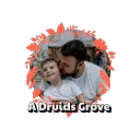 A Druids Grove