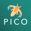 Picocosmos