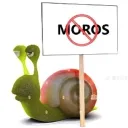 LA ROOM DE LOS YONKIS Discord Server Icon