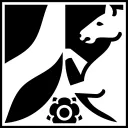 NRW: Counter Strike