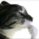 stupid hangout Discord Server Icon